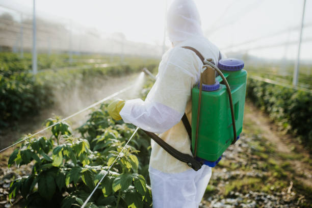 Best Commercial Pest Control Services  in Sneads Ferry, NC